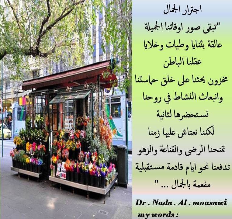 https://dr-nada-mosawi.com/imgs/MZ20250902034619538لحظات الجمال.jpg