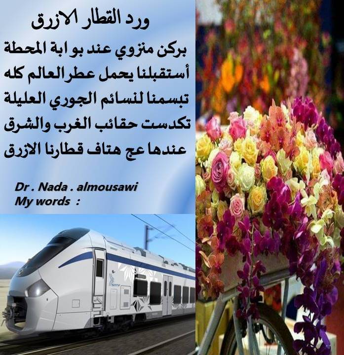 https://dr-nada-mosawi.com/imgs/MZ20250911010958345قطارنا الازرق.jpg
